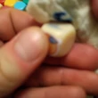 Üres, színes dobókockacsomag, 16 mm X 8 különböző szín - írható, felmatricázható felületű