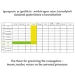 Tanórai felhasználás - igeragozás - verbs - conjugation - tenses - temps - modes - personal pronouns