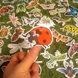 Rovaros matrica – hétpettyes katica; szitakötő; ormányos bogár – Insects and bugs sticker set