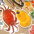 Halas matrica – rák; papagájhal; csuka; keszeg – Sea creatures sticker set