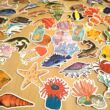 Halas matrica – korall; lepényhal; csuka; kagyló – Sea creatures sticker set