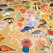 Halas matrica – korall; lepényhal; csuka; kagyló – Sea creatures sticker set