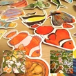 Nagyméretű színes halas matricák 50 db – Sea creatures sticker set 50 pcs – biológia; környezetismeret; történetmesélés; idegen nyelv tanítása