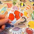 Halas matrica – Nemo bohóchal; vitorláshal; rák;csuka;medúza – Sea creatures sticker set