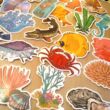 Halas matrica – kagyló; korall; tengerirózsa; csuka – Sea creatures sticker set