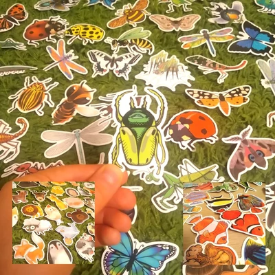 Nagyméretű rovaros (ízeltlábúak) matricacsomag meséléshez és tanításhoz